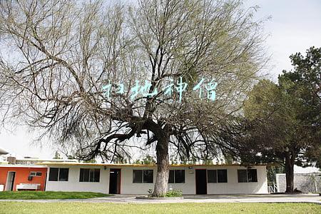 扫地神僧怎么杀(扫地僧天下第一，却被乔峰打断肋骨，关键时刻未曾使用一门绝技)