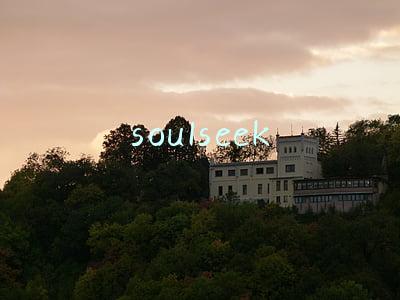 soulseek