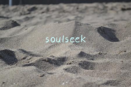soulseek