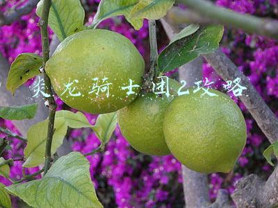 炎龙骑士团2攻略