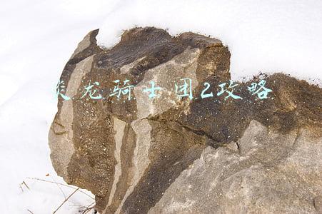 炎龙骑士团2攻略