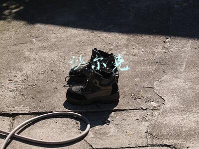 沙尔克