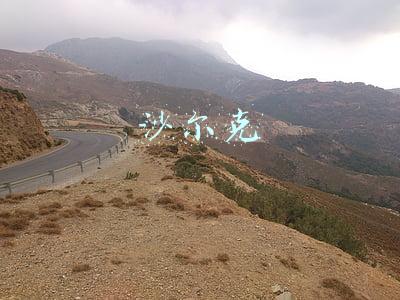 沙尔克
