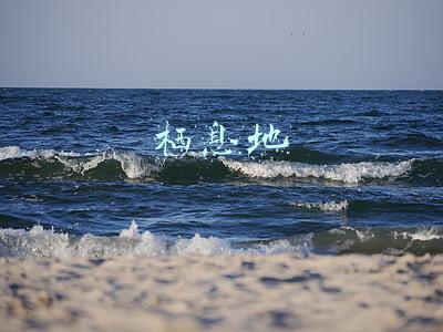 栖息地