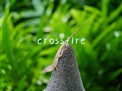 crossfire