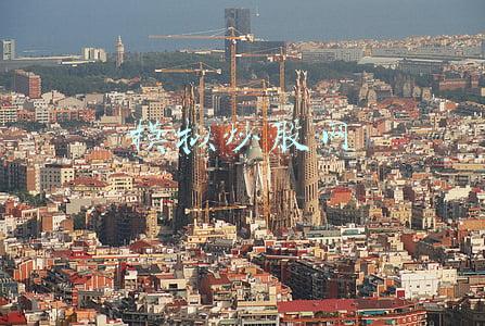 模拟炒股网