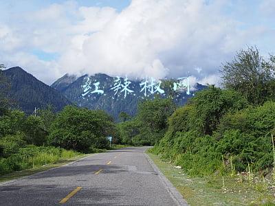 红辣椒网