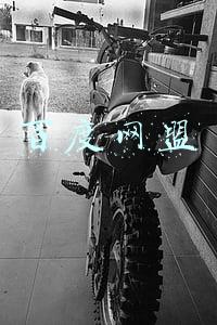 百度网盟