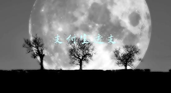 支付宝透支