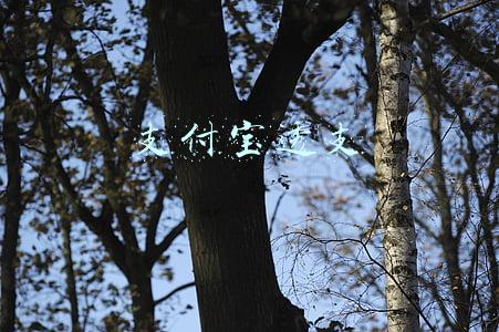 支付宝透支