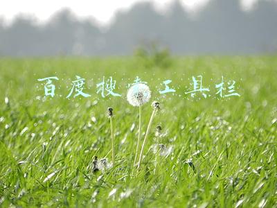 百度搜索工具栏