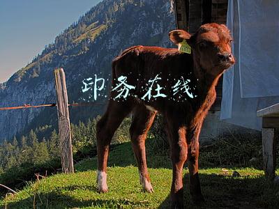 印务在线
