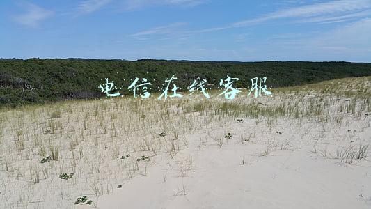 电信在线客服