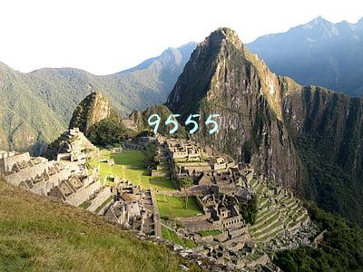 9555