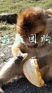 品质团购