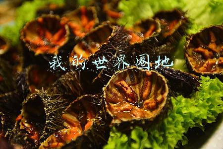 我的世界圈地