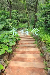 卡梅伦