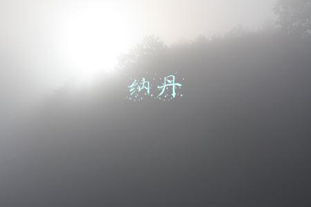 纳丹