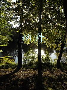 纳丹堡居委会电话(燕郊最实用的电话薄，在这里)