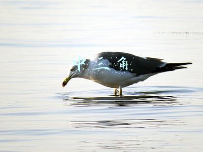 中三角