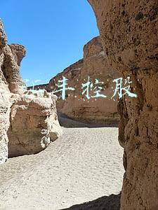 汇丰控股