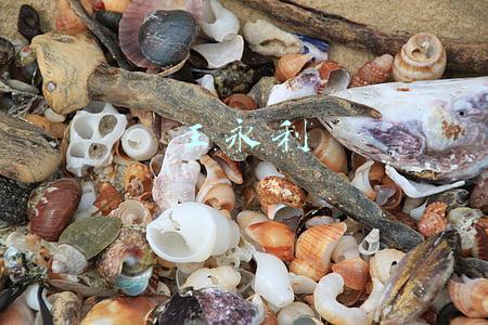 王永利