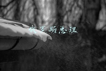 俄罗斯总理