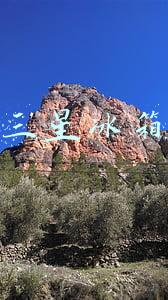 三星冰箱质量如何(一线品牌什么牌子的变频冰箱质量好)