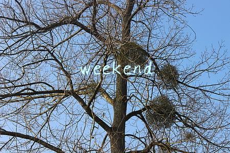 weekend