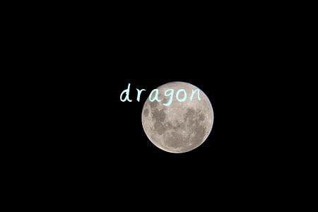 dragon