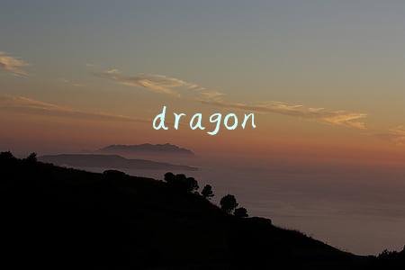 dragon