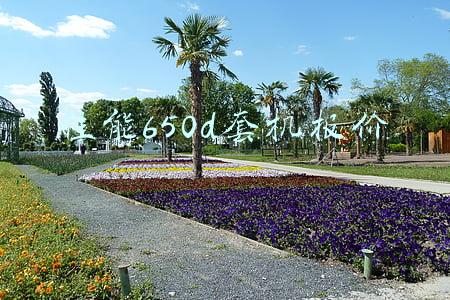 佳能650d套机报价
