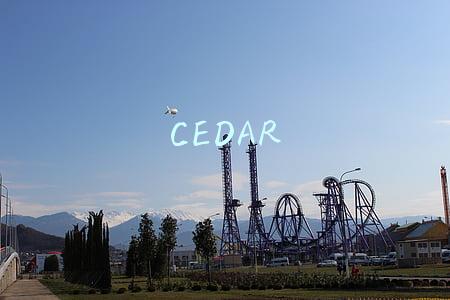 CEDAR