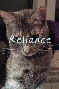 Reliance