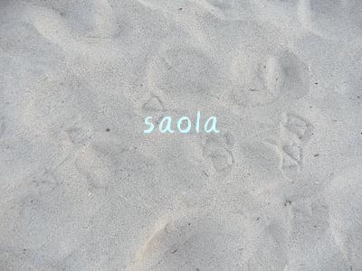 saola