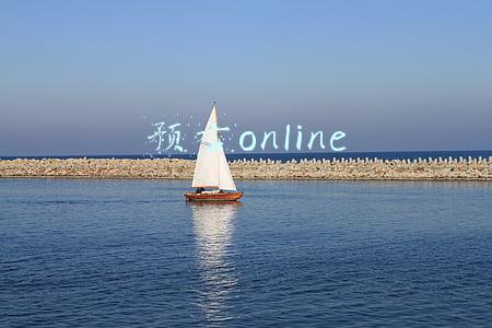预言online
