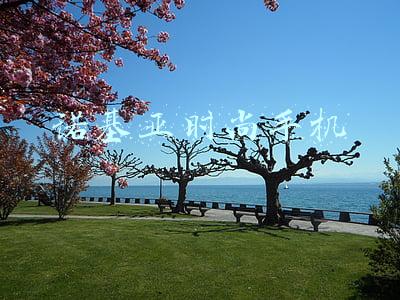 诺基亚时尚手机