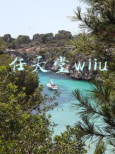 任天堂wiiu
