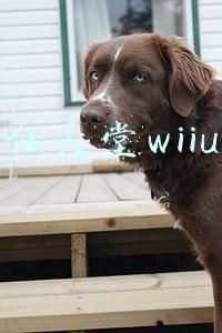 任天堂wiiu