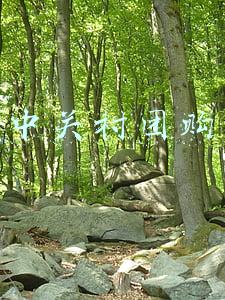 中关村团购