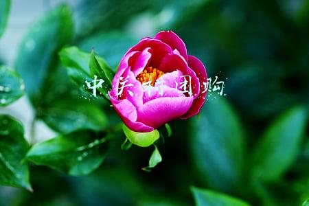 中关村团购