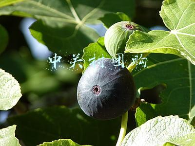 中关村团购