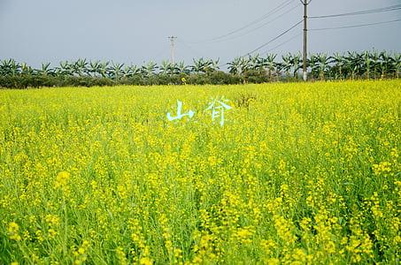 山脊