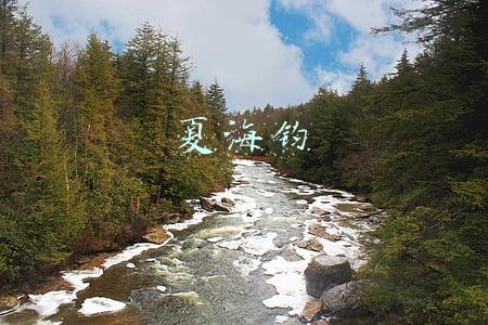夏海钧年薪为什么这么高(年薪超2亿恒大总裁夏海钧减持套现，曾被称地产界“打工皇帝”)