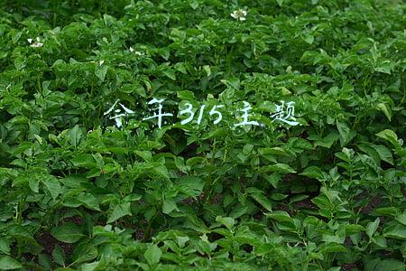 今年315主题