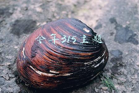 今年315主题