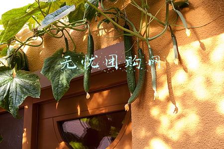 无忧团购网