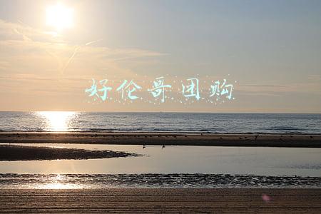 好伦哥团购