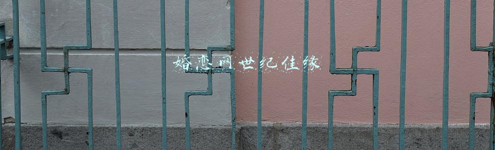 婚恋网世纪佳缘