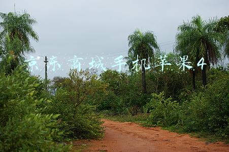 京东商城手机苹果4